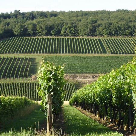 Douce Nuits Hotel Luaran gambar